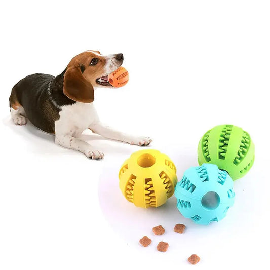 DentalTreat™: Pelota de Limpieza y Recompensa
