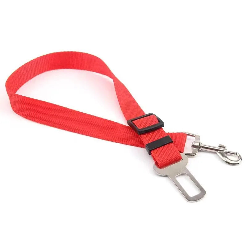 SafeRide™: Cinturón de Seguridad Elástico Antishock