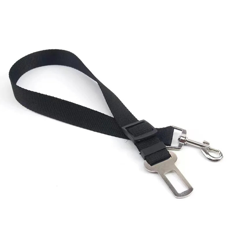 SafeRide™: Cinturón de Seguridad Elástico Antishock