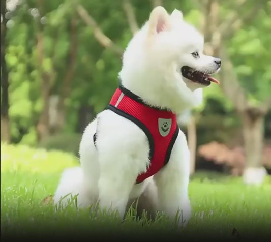 SafeWalk™ Arnés de Paseo Ergonómico