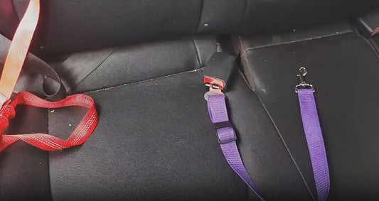SafeRide™: Cinturón de Seguridad Elástico Antishock